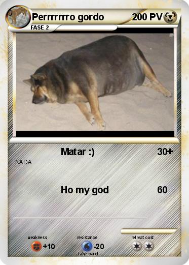 Pokemon Perrrrrrro gordo