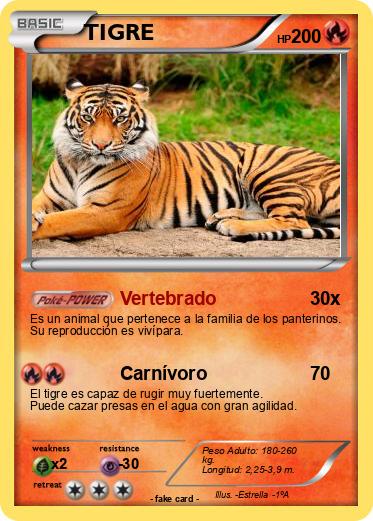 Pokemon TIGRE