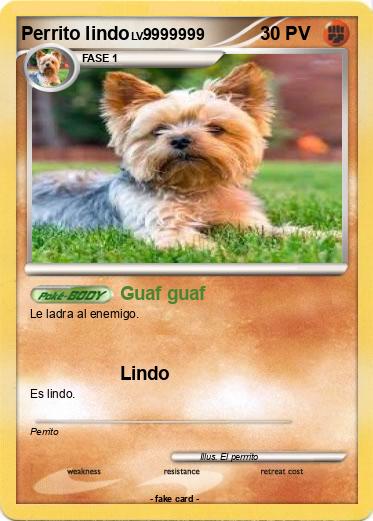 Pokemon Perrito lindo