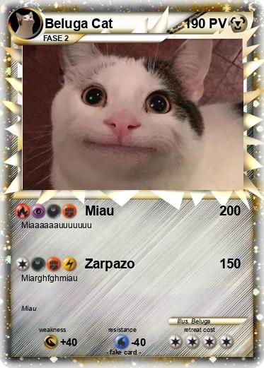 Pokemon Beluga Cat