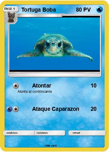 Pokemon Tortuga Boba