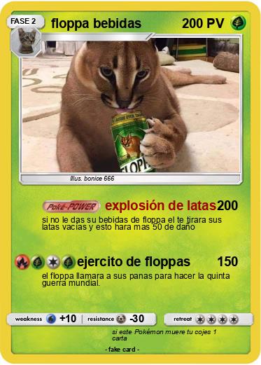 Pokemon floppa bebidas
