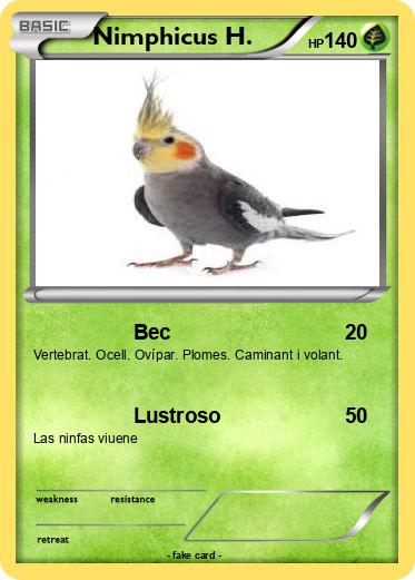 Pokemon Nimphicus H.