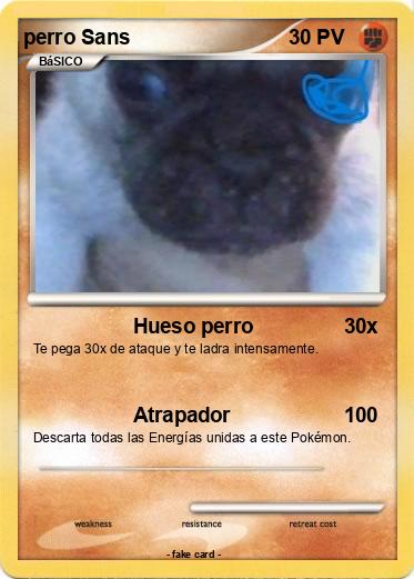 Pokemon perro Sans