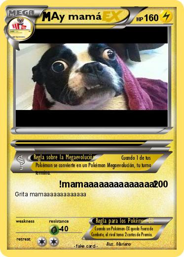 Pokemon Ay mamá