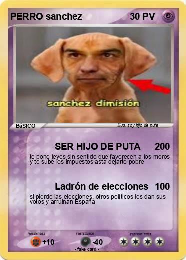 Pokemon PERRO sanchez