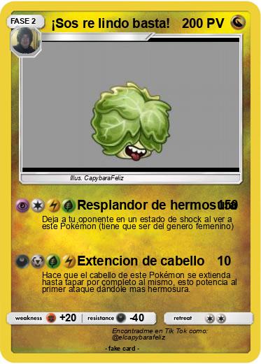 Pokemon ¡Sos re lindo basta!