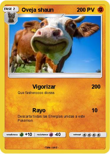 Pokemon Oveja shaun