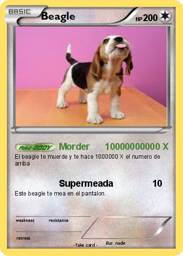 Pokemon Beagle