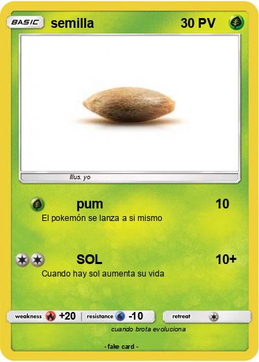 Pokemon semilla