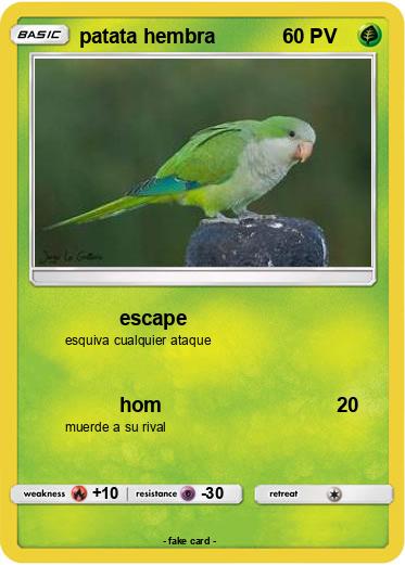 Pokemon patata hembra