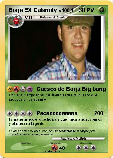Pokemon Borja EX Calamity