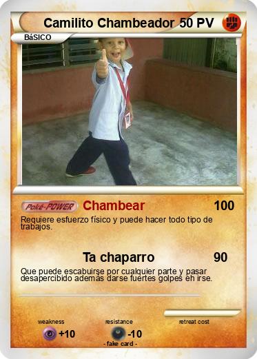 Pokemon Camilito Chambeador