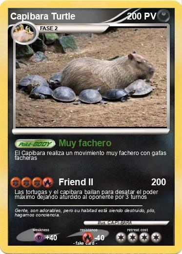 Pokemon Capibara Turtle