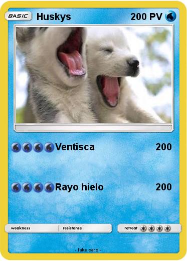 Pokemon Huskys