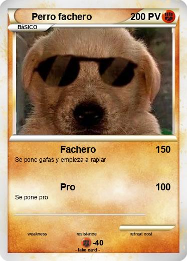 Pokemon Perro fachero