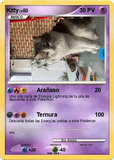 Pokemon Kitty