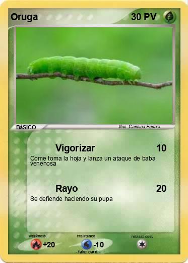 Pokemon Oruga