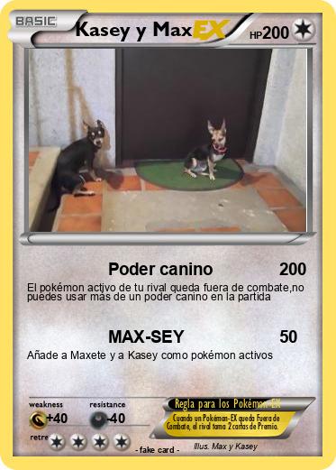 Pokemon Kasey y Max