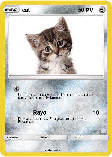 Pokemon cat