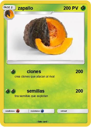 Pokemon zapallo
