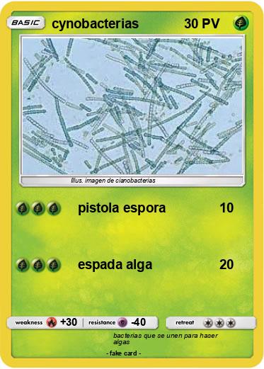 Pokemon cynobacterias