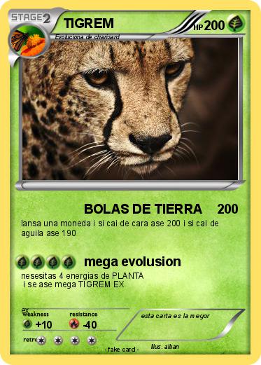 Pokemon TIGREM