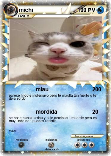 Pokemon michi