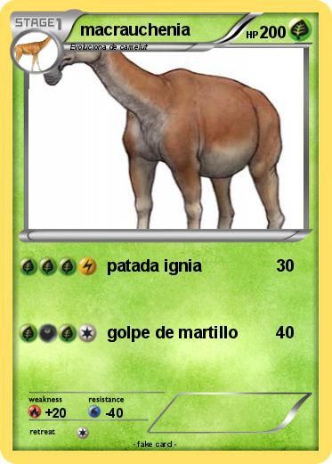 Pokemon macrauchenia