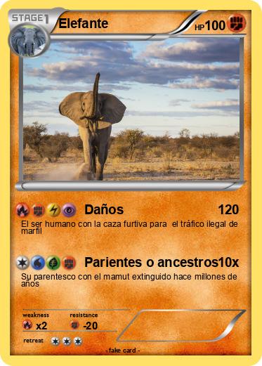 Pokemon Elefante