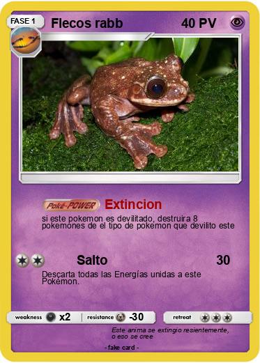 Pokemon Flecos rabb