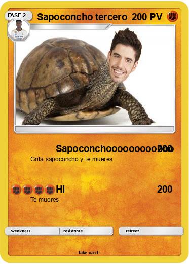 Pokemon Sapoconcho tercero