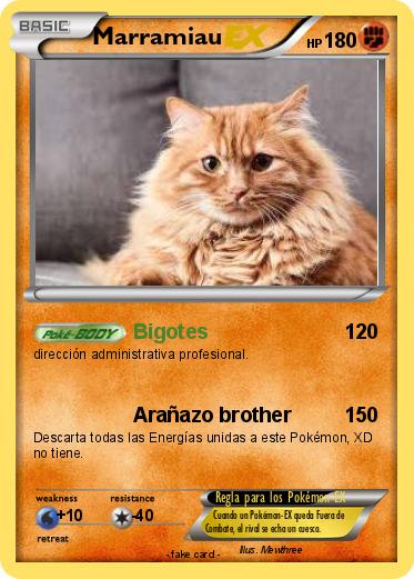 Pokemon Marramiau