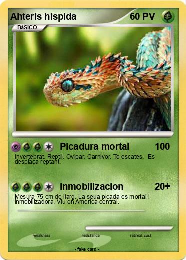 Pokemon Ahteris hispida