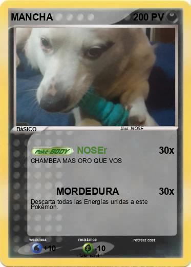 Pokemon MANCHA