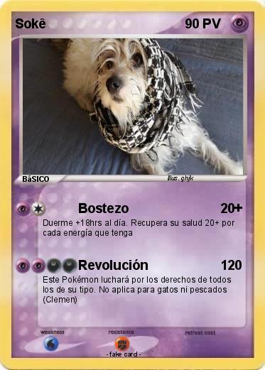 Pokemon Sokê