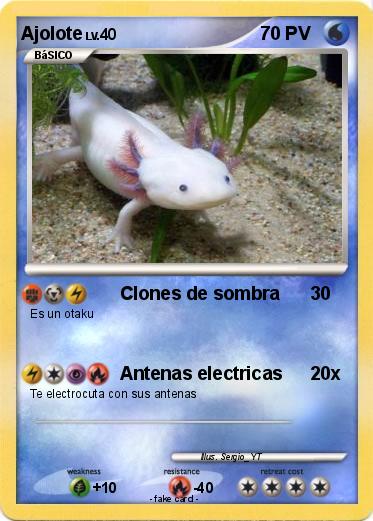 Pokemon Ajolote