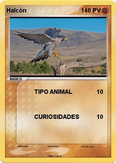 Pokemon Halcón