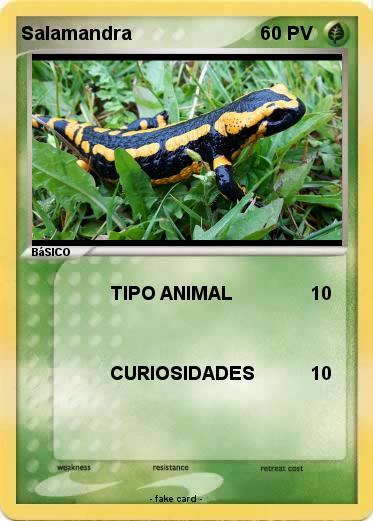 Pokemon Salamandra