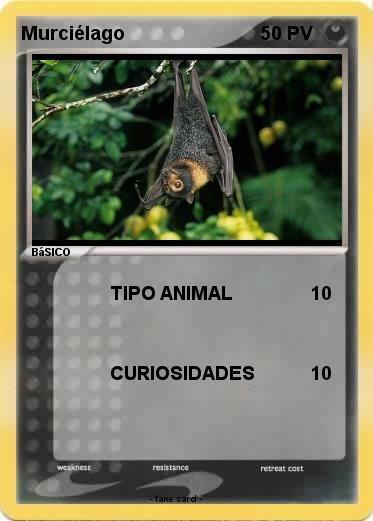 Pokemon Murciélago