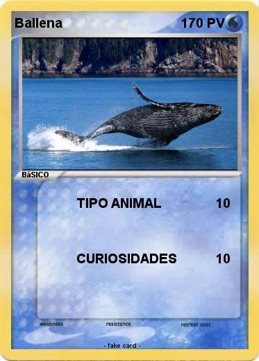 Pokemon Ballena