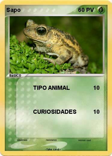 Pokemon Sapo