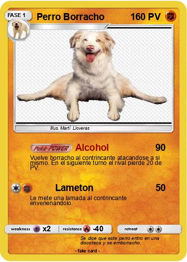 Pokemon Perro Borracho