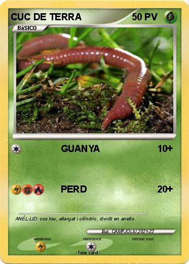 Pokemon CUC DE TERRA
