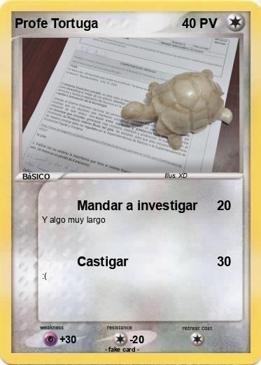Pokemon Profe Tortuga