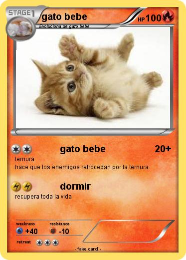 Pokemon gato bebe