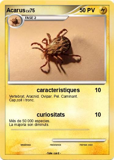 Pokemon Acarus