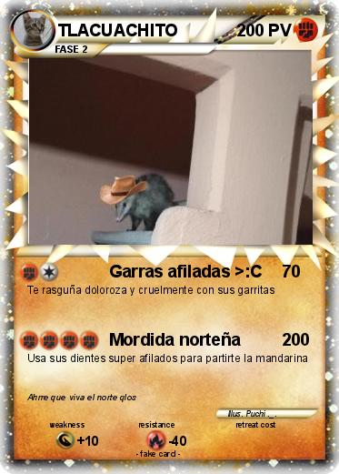 Pokemon TLACUACHITO