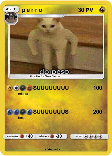 Pokemon p e r r o