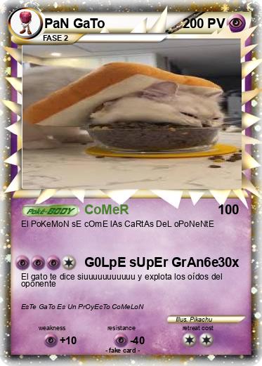 Pokemon PaN GaTo